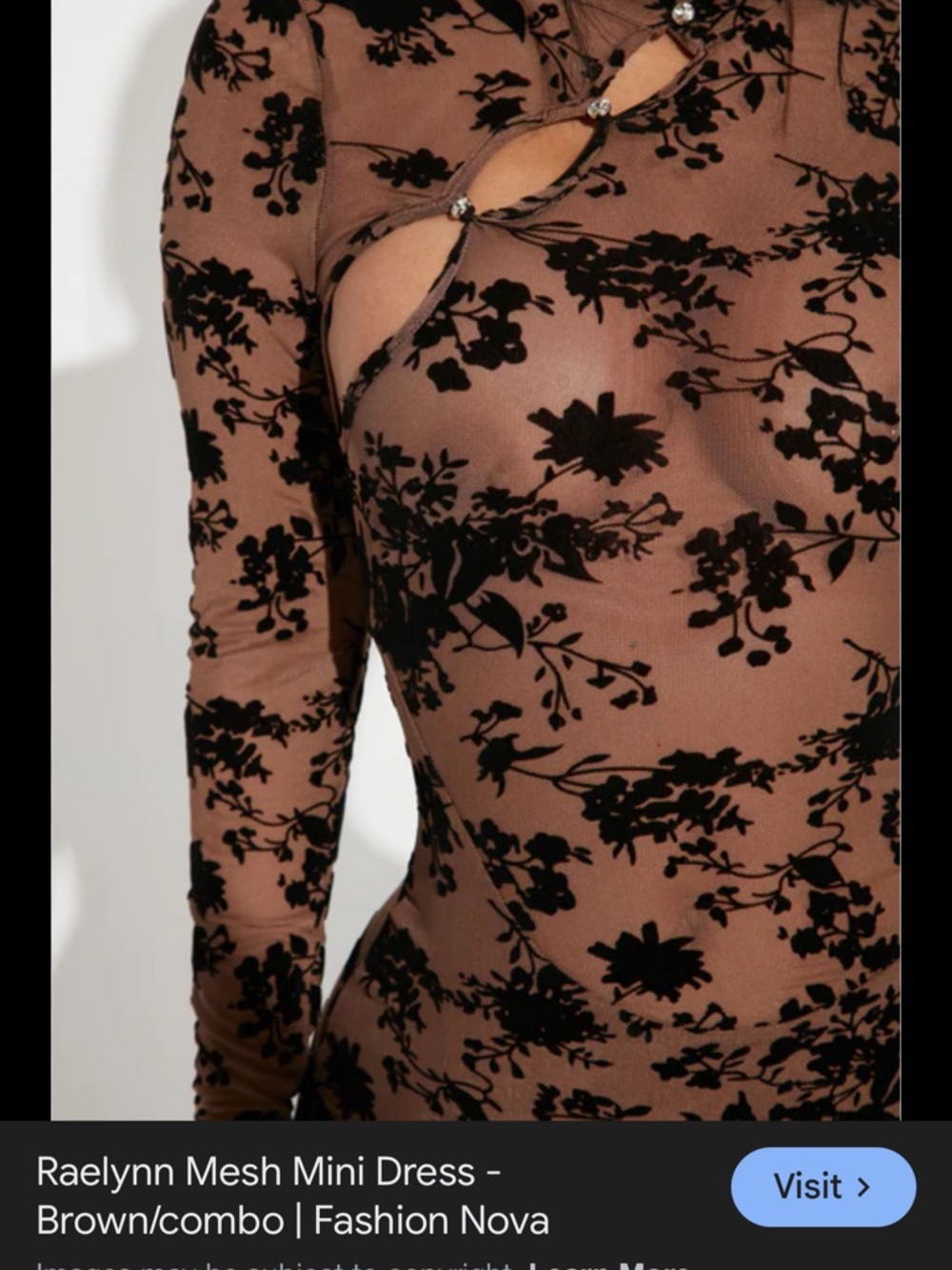 Fashion Nova Brown Mesh Mini Dress with Black Floral Burnout